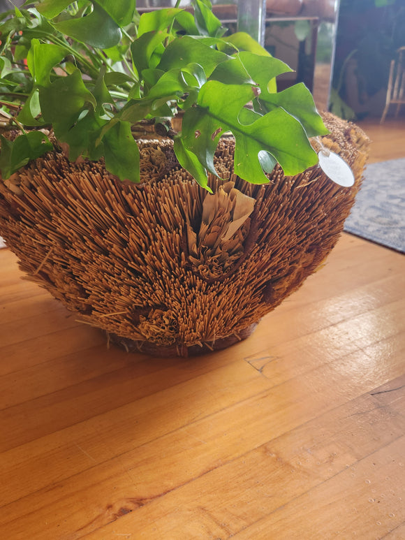 Very Funky Woven Plant Pot