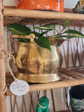Small Brass Pot