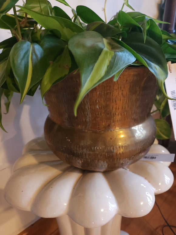 Large Hammered Brass Cover Pot