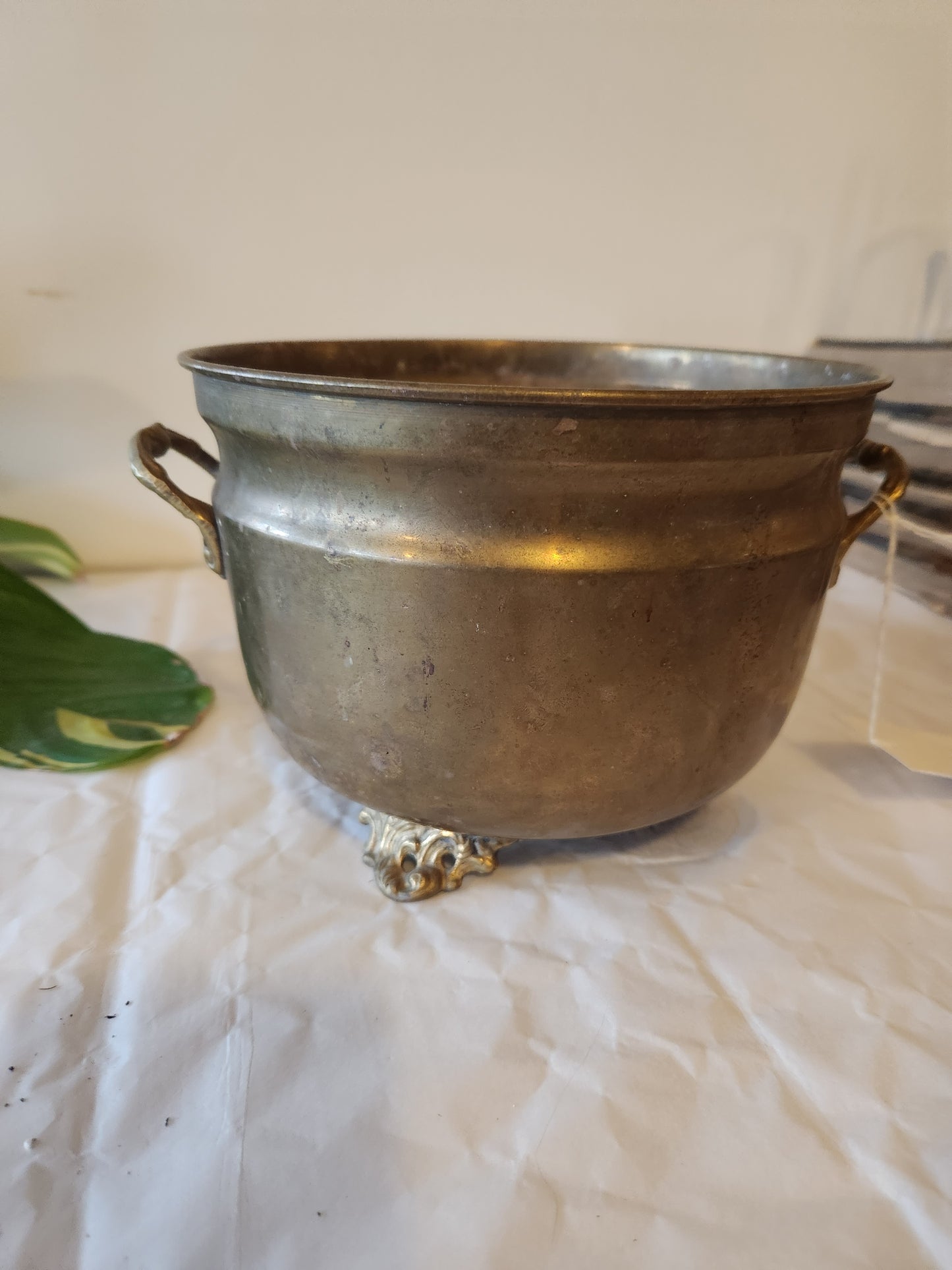 Brass Cover Pot