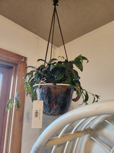 Hanging Pottery Planter