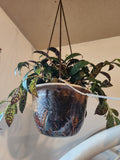 Hanging Pottery Planter
