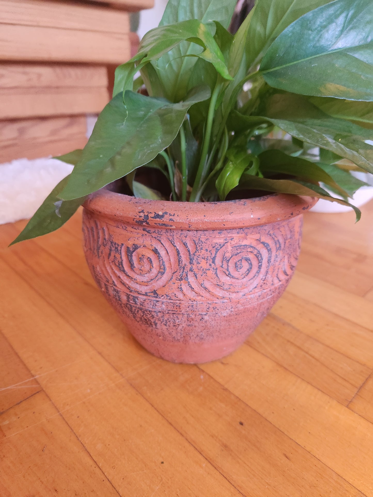 Pottery Plant Cover Pot