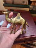 Brass Camel (#1)