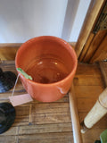 Orange Plant Pot