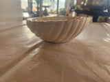 Mother of Pearl Clam Shell Soap Dish