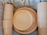 Picnic Basket (with 6 piece plastic place setting)