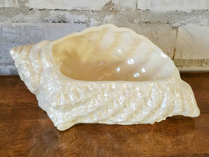 Conch Shell Mother of Pearl Planter