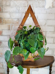 Handmade Wooden Plant Hanger