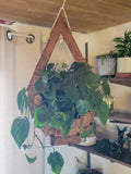 Handmade Wooden Plant Hanger