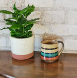 Pottery Mug