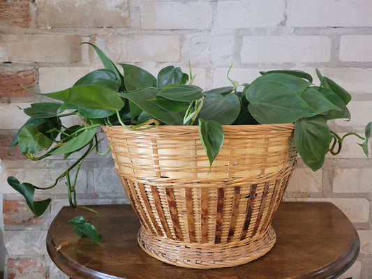 Footed Plant Basket