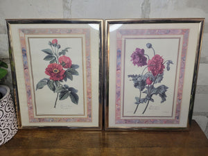 Botanical Floral Prints (Set of 2)