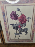 Botanical Floral Prints (Set of 2)