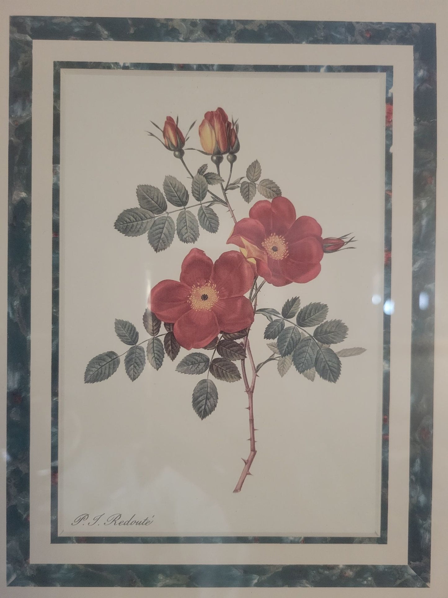 Botanical Floral Print (15x12)